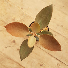 Load image into Gallery viewer, Kalanchoe Copper Spoons