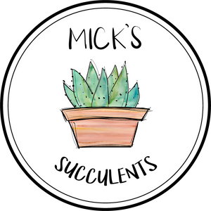 Mick&#39;s Succulents